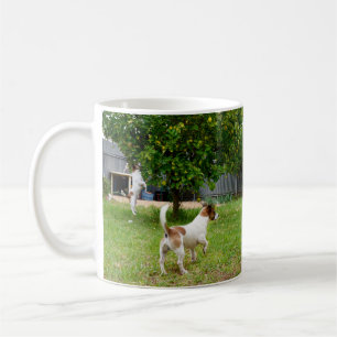 Fox Terrier, der in einen Baum sprang, Tasse