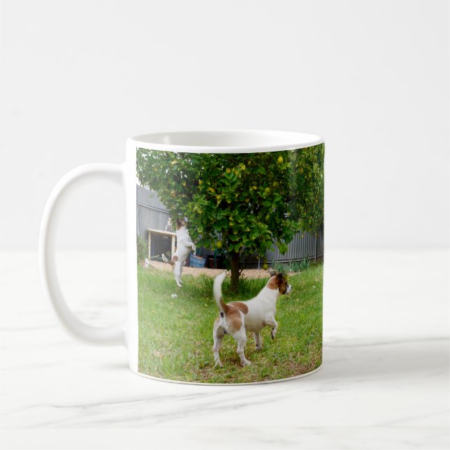 Fox Terrier, der in einen Baum sprang, Tasse (Links)