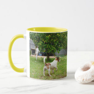 Fox Terrier, der in einen Baum sprang, Tasse