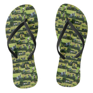 Fox Terrier die lange harte TagesfotoCollage, Flip Flops