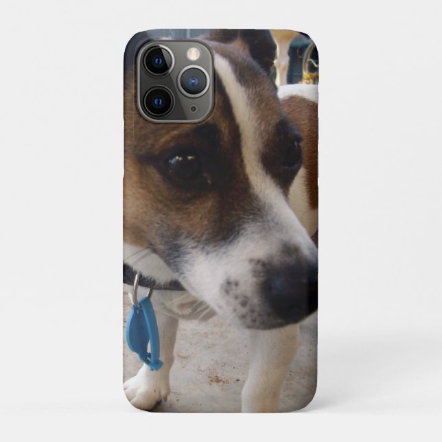 Fox Terrier Dog Attraction, Case-Mate iPhone Hülle (Rückseite)