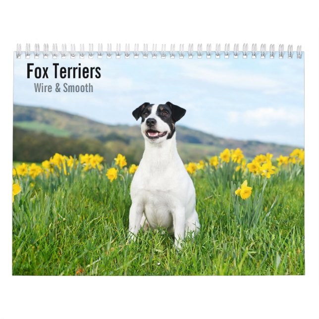 Fox Terrier Draht- und Glatt-haar 2027 Kalender (Titelbild)