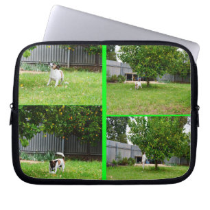 Fox Terrier, Foto Collage 10inch Laptop Sleeve. Laptopschutzhülle
