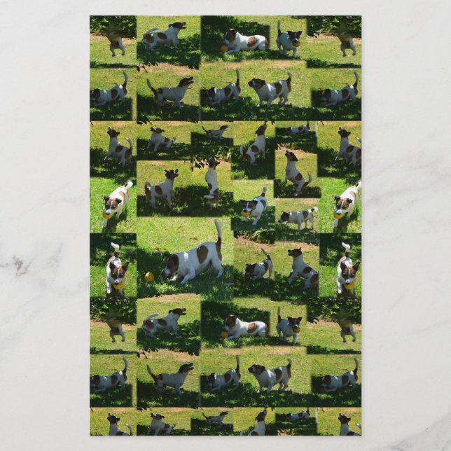 Fox Terrier Foto Collage, Briefpapier (Vorderseite)