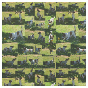 Fox Terrier Foto Collage, Stoff
