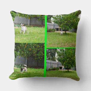 Fox Terrier FotoCollage, Big Throw Cushion. Kissen