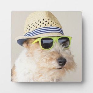 Fox Terrier Fotoplatte