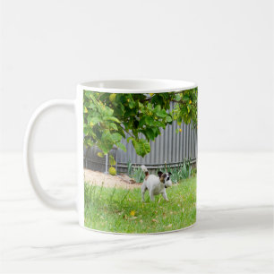 Fox Terrier, Funny Scare Face, White Coffee Tasse