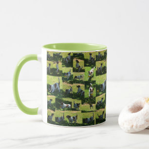 Fox Terrier, langer harter Tag am Arbeitsplatz, Co Tasse