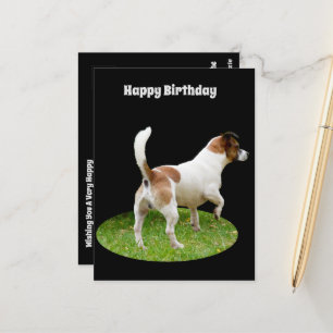 Fox Terrier on Guard Duty, Birthday Postcard Postkarte