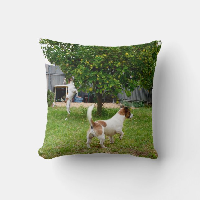 Fox Terrier Play Time Throw Cushion Kissen (Vorderseite)