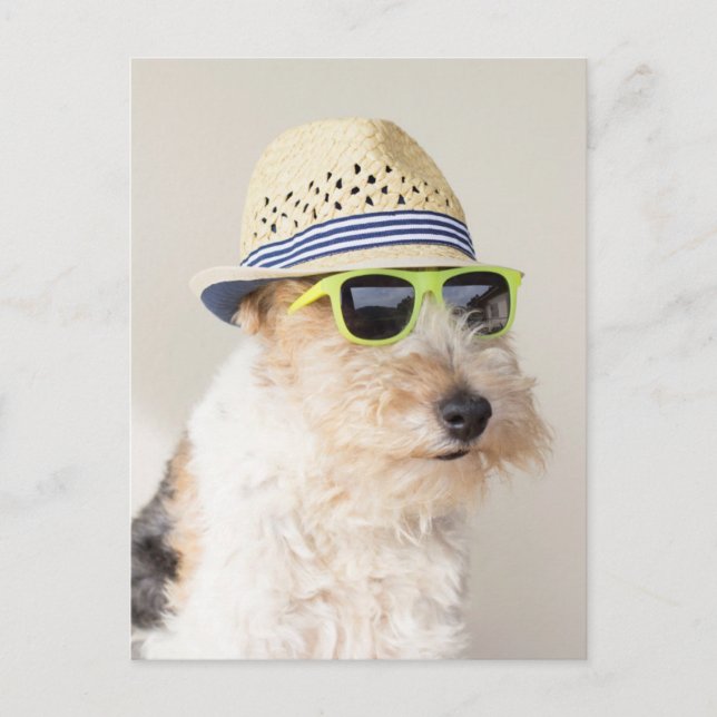 Fox Terrier Postkarte (Vorderseite)