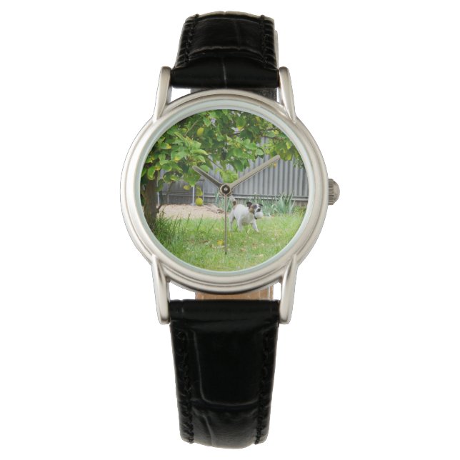 Fox Terrier Scare Face Ladys Black Leather Watch Armbanduhr (Vorderseite)