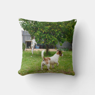 Fox Terrier springt in einen Baum, Kissen