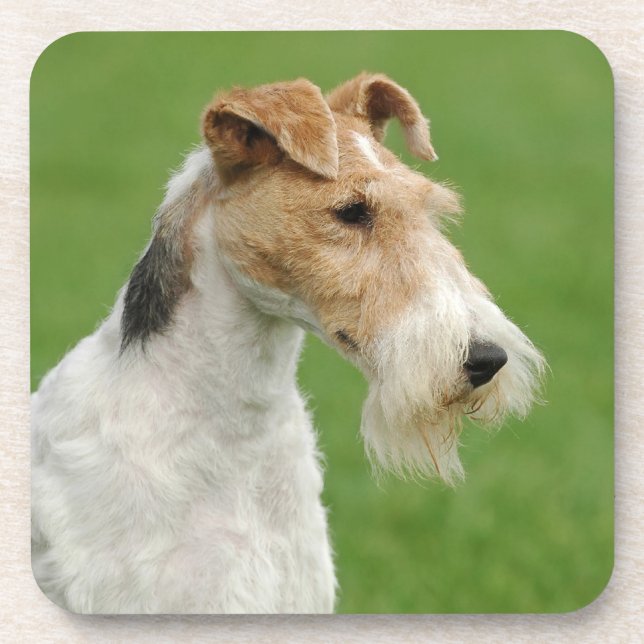 Fox Terrier Untersetzer (Vorderseite)