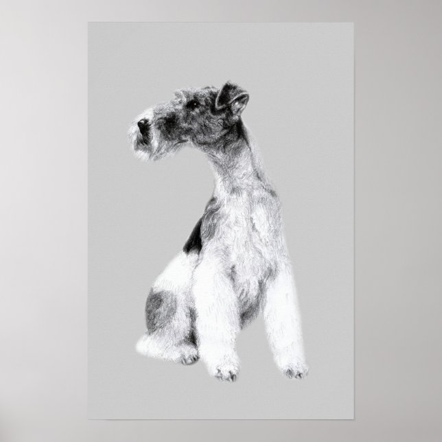 Fox Terrier Zeichnend Poster (Vorne)