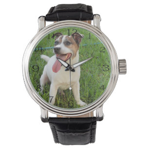Fox Terrier, Zunge in der Wange, Armbanduhr