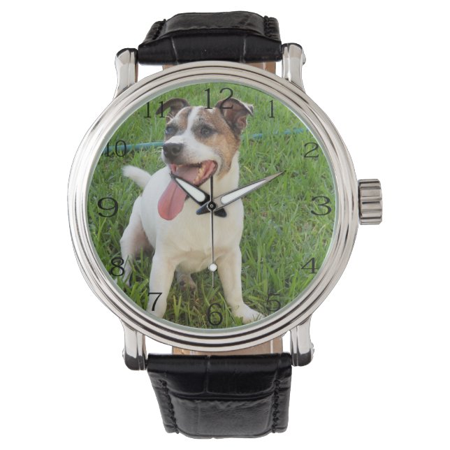 Fox Terrier, Zunge in der Wange, Armbanduhr (Vorderseite)