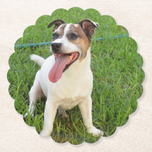 Fox Terrier, Zunge in der Wange, Untersetzer