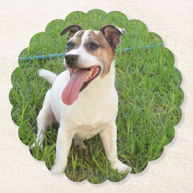 Fox Terrier, Zunge in der Wange, Untersetzer (Vorderseite)