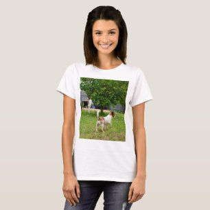 Fox Terriers Playtime, Ladys White T - Shirt