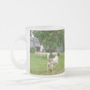 Fox Terriers Playtime, Mattierte Tasse aus Glas