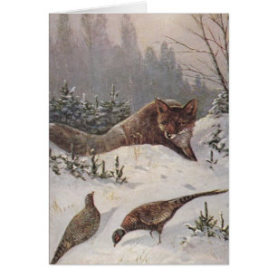 Fox u. Fasane, die Winter-Tag gedämpft werden,