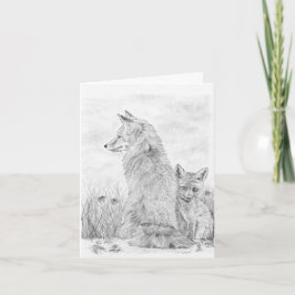 Fox und Kit