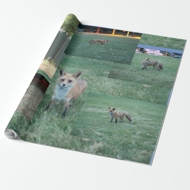Fox und Land mit Stall, Rotfuchs Geschenkpapier (Ungerollt)