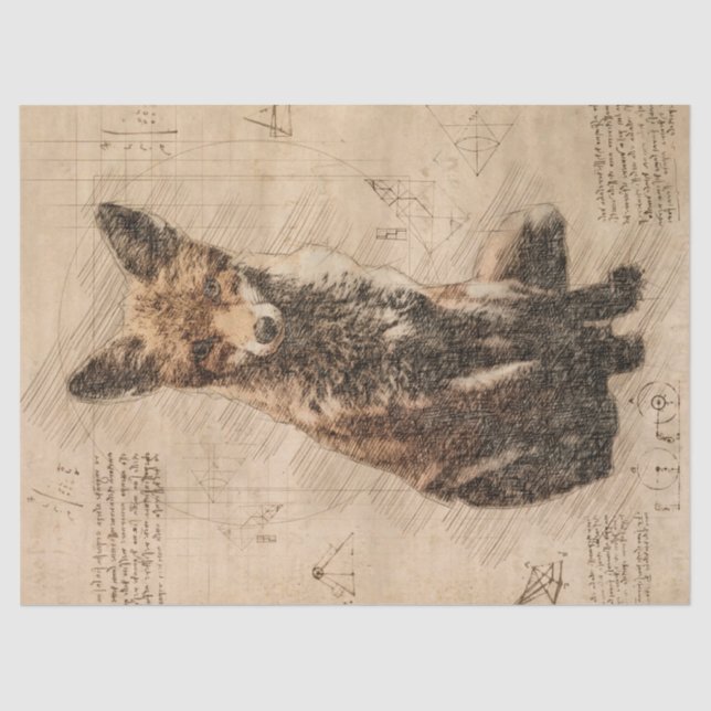 Fox Wildlife Retro Zeichnend Seidenpapier (Vorderseite)