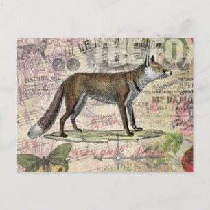 Fox Wildlife Vintag Animal Illustration Postkarte