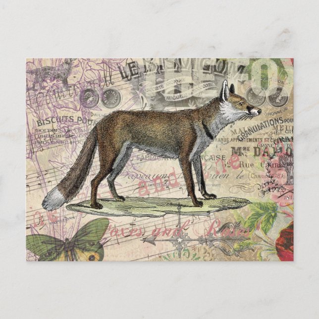 Fox Wildlife Vintag Animal Illustration Postkarte (Vorderseite)