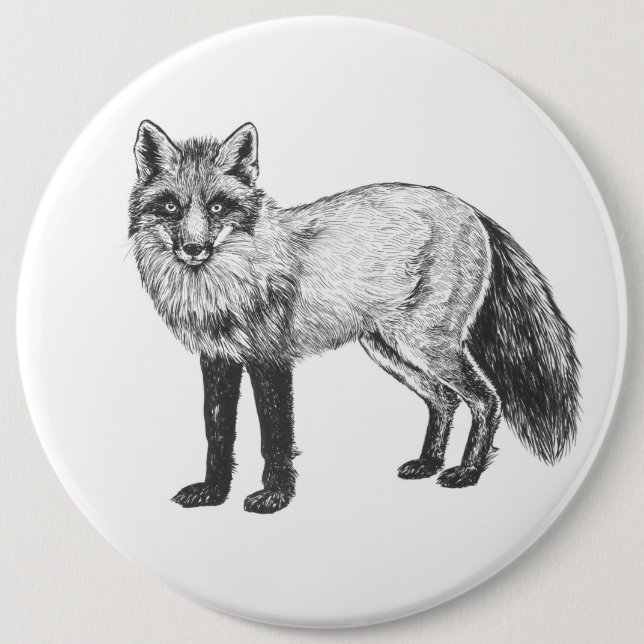 Fox zeichnend button (Vorderseite)