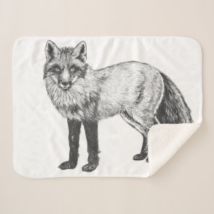 Fox zeichnend sherpadecke