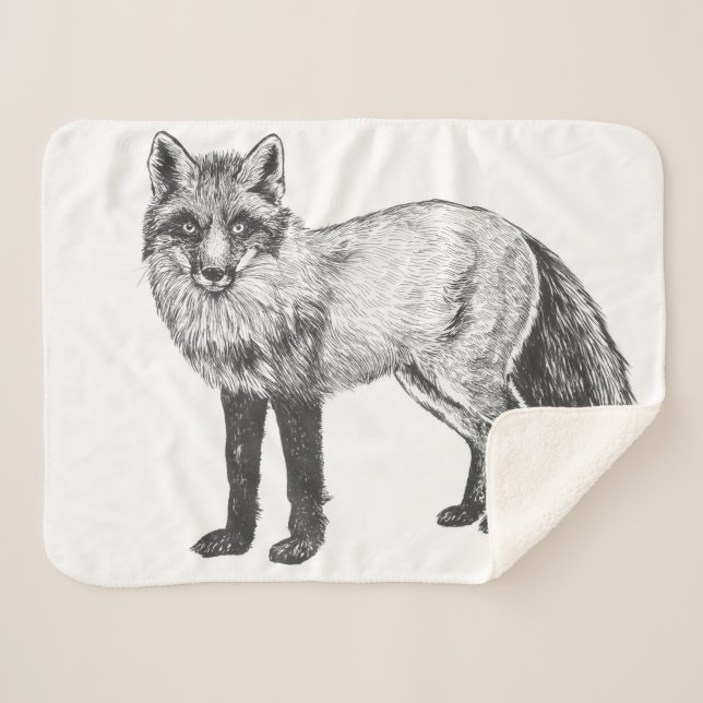 Fox zeichnend sherpadecke (Vorderseite (Horizontal))