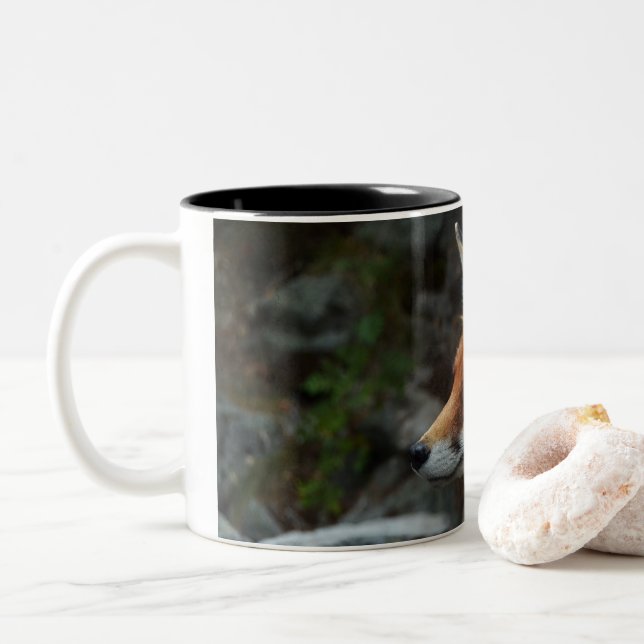Fox Zweifarbige Tasse (Mit Donut)