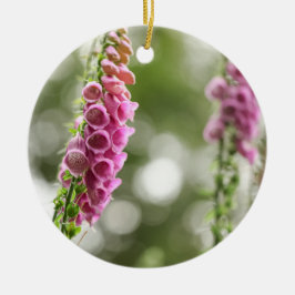 Foxglove Blossom Nature Foto Keramik Ornament