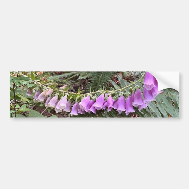 Foxglove Blume Foto Autoaufkleber (Vorne)