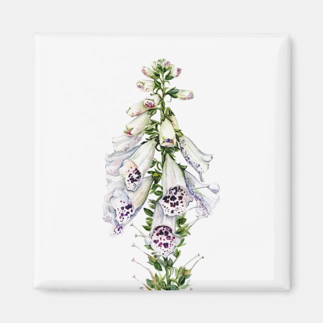 Foxglove-Blume Magnet (Vorne)