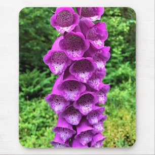 Foxglove Blume, Oregon Mousepad