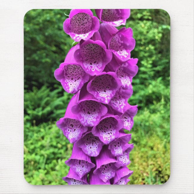 Foxglove Blume, Oregon Mousepad (Vorne)