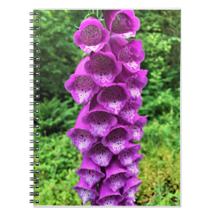 Foxglove Blume, Oregon Notizblock