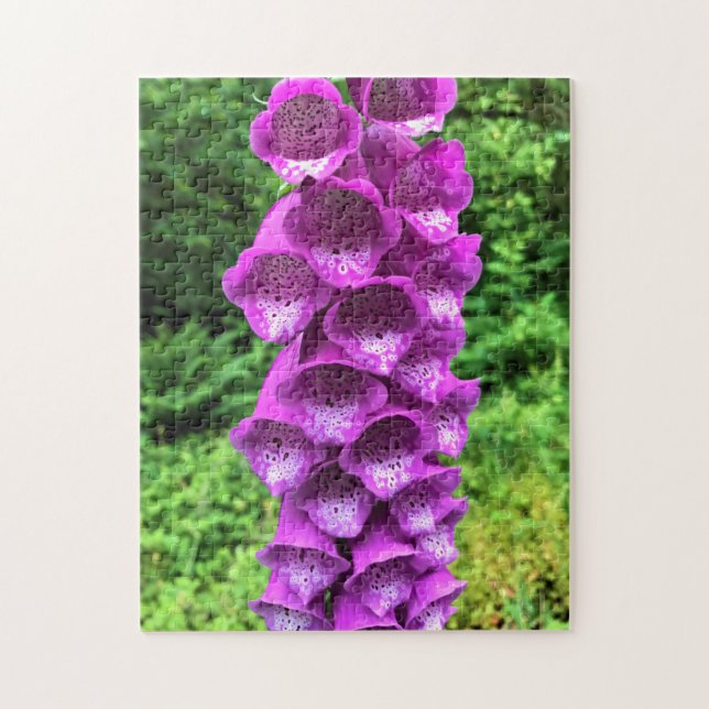 Foxglove Blume, Oregon Puzzle (Vertikal)