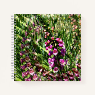 Foxglove Liebe...... Notizbuch
