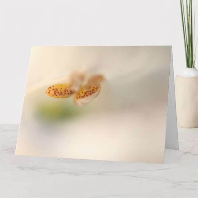 Foxglove-nah Karte (Vorderseite)