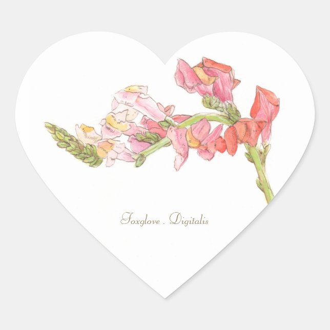 Foxglove Sticker (Vorderseite)