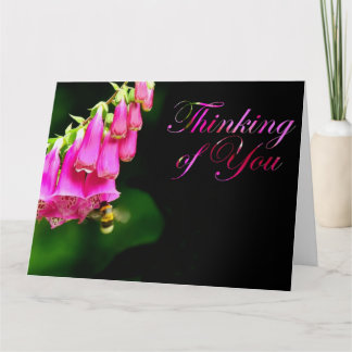 Foxglove und Humble Bee Karte