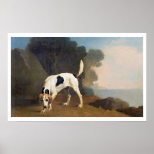 Foxhound auf dem Geruch, c.1760 (Öl auf Papier Poster
