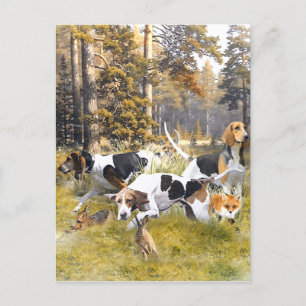 Foxhound Postkarte