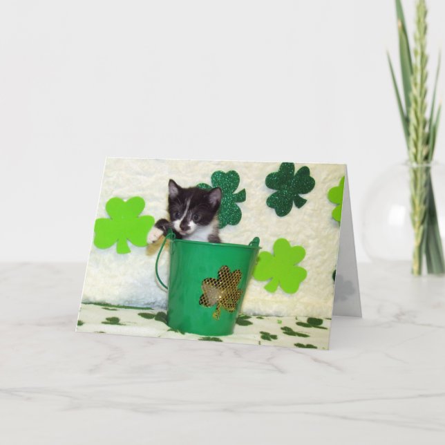 Foxi Moxi - Königin der St. Patrick's Day Card Karte (Vorderseite)